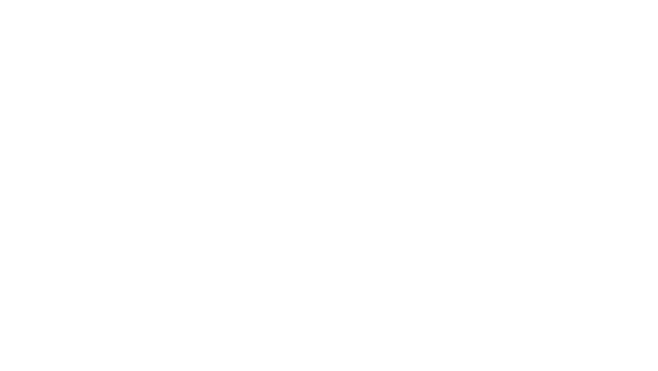 Dr Ahmed El Ansary Dr Ahmed El Ansary